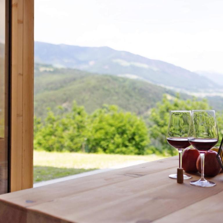 Oberplunerhof Luxury Chalet Skyline - Appartamento Deluxe con 2 Camere da Letto e Vista Giardino - 22