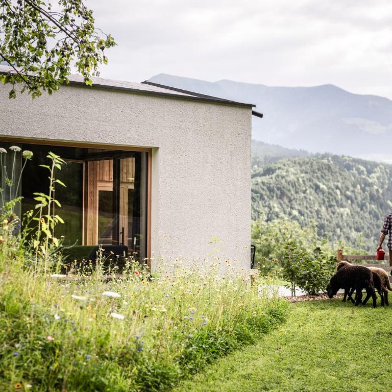 Oberplunerhof Luxury Chalet Skyline - Appartamento Deluxe con 2 Camere da Letto e Vista Giardino - 33