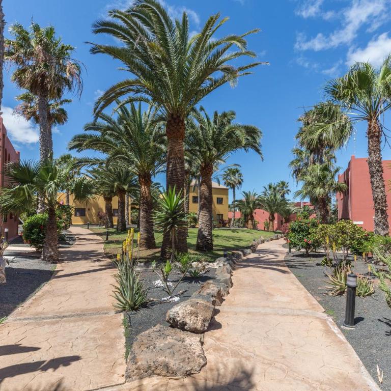 Fuerteventura Apartments Harmony - Apartamento de 1 dormitorio con vistas al jardín - 20