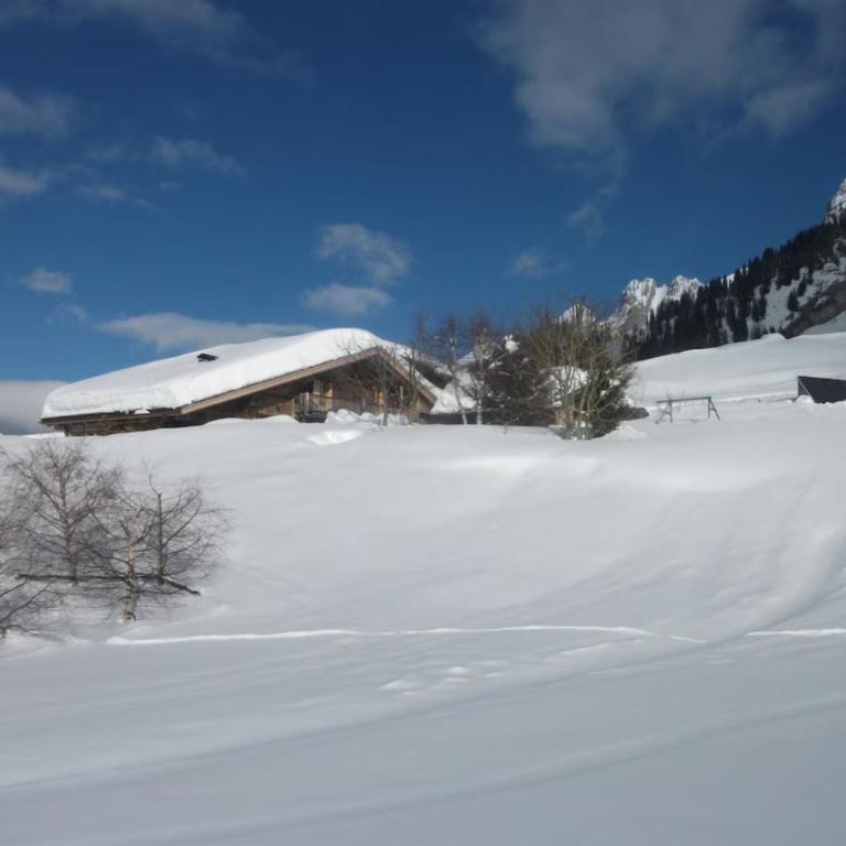 Le vieux madrier - Chalet - 18