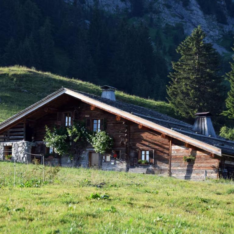 Le vieux madrier - Chalet - 20
