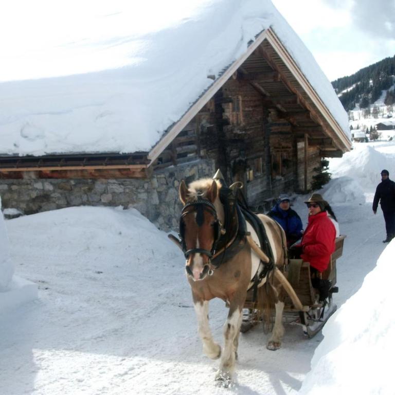 Le vieux madrier - Chalet - 36