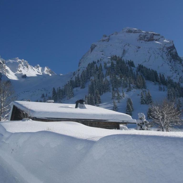 Le vieux madrier - Chalet - 40