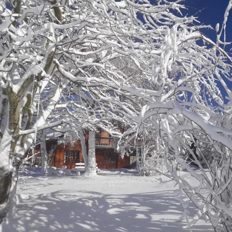 Le vieux madrier - Chalet - 42