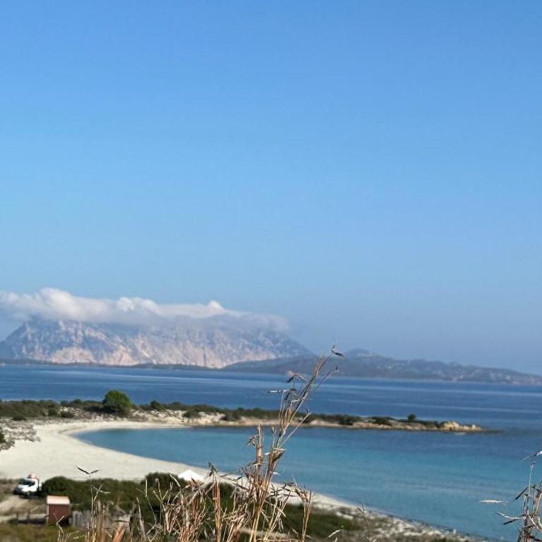 San Teodoro Villa Ambra Costa Caddu - Villa con Vista Mare - 29