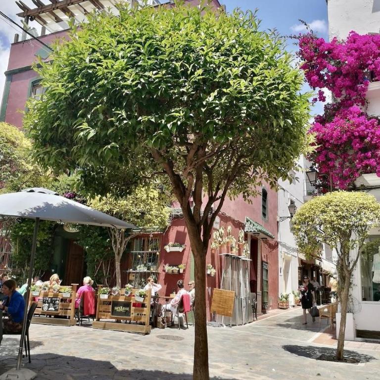 Luxurious penthouse 150 m2 terrace - Apartamento de 3 dormitorios y vistas al mar - 30