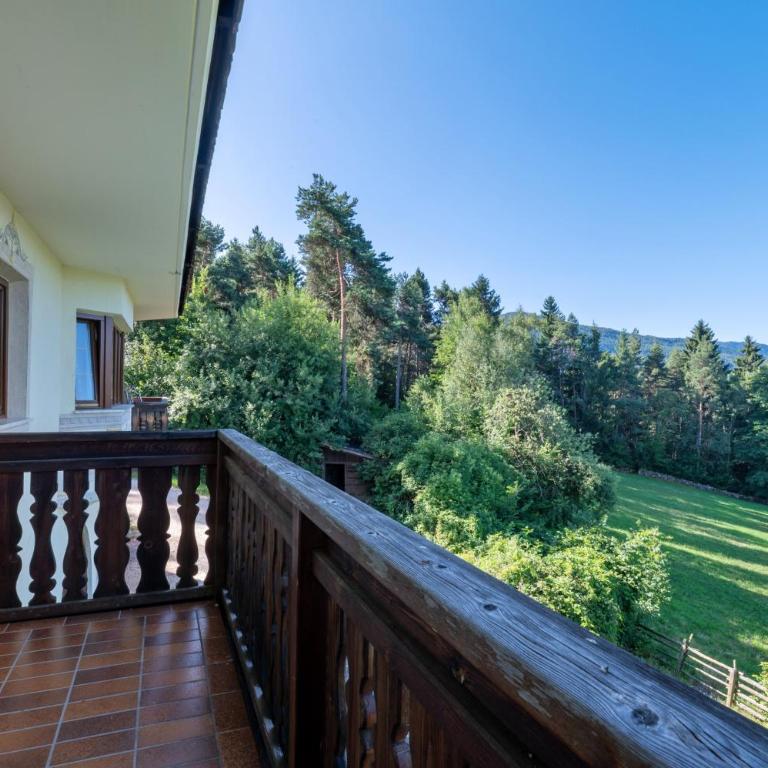 Aldeinerhof - Appartamento Superior con 1 Camera da Letto e Balcone - 6