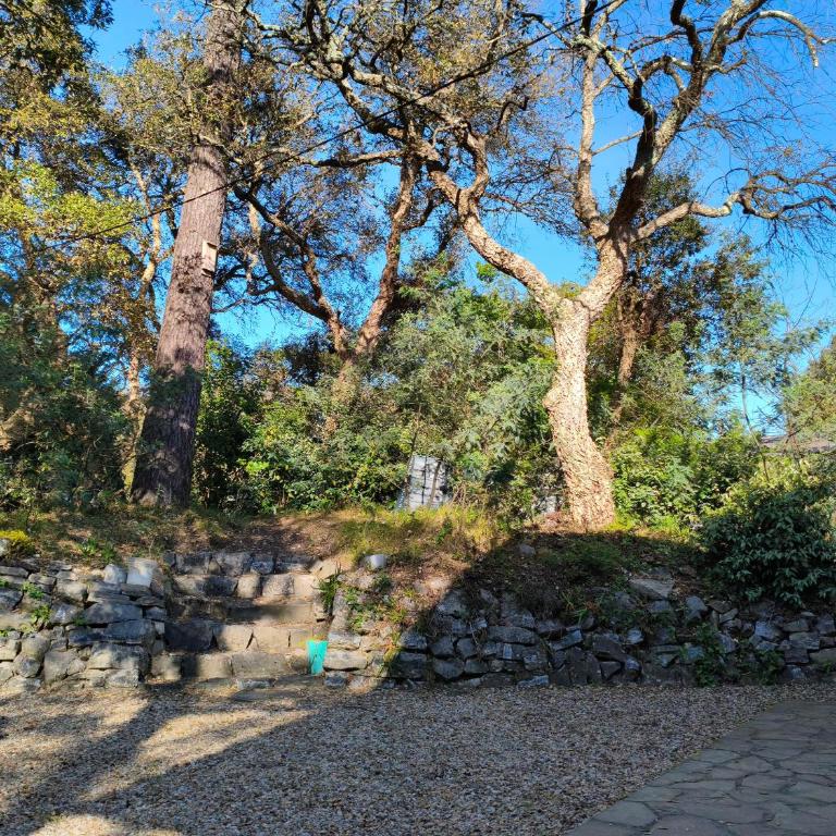 Charming villa near Hossegor golf and lake - Villa de 3 dormitorios - 10