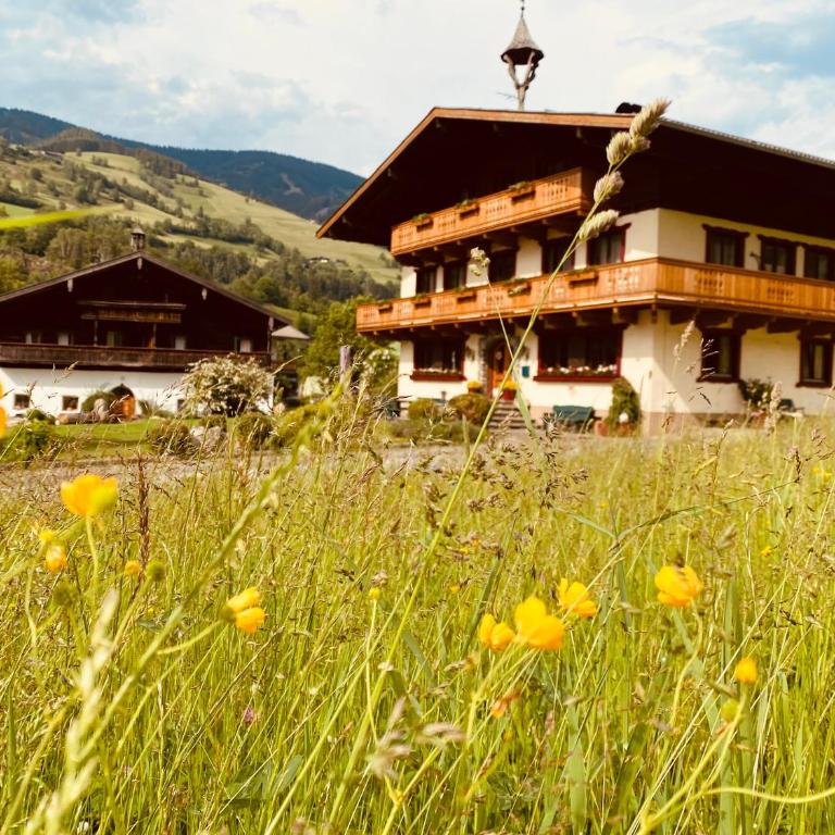 Ferienhaus Wolfbachgut - Ferienhaus - 1