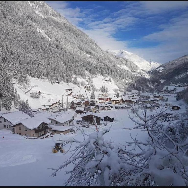 Lieblingsplatz - Ski in und Ski out - Apartment mit 3 Schlafzimmern und Bergblick - 41
