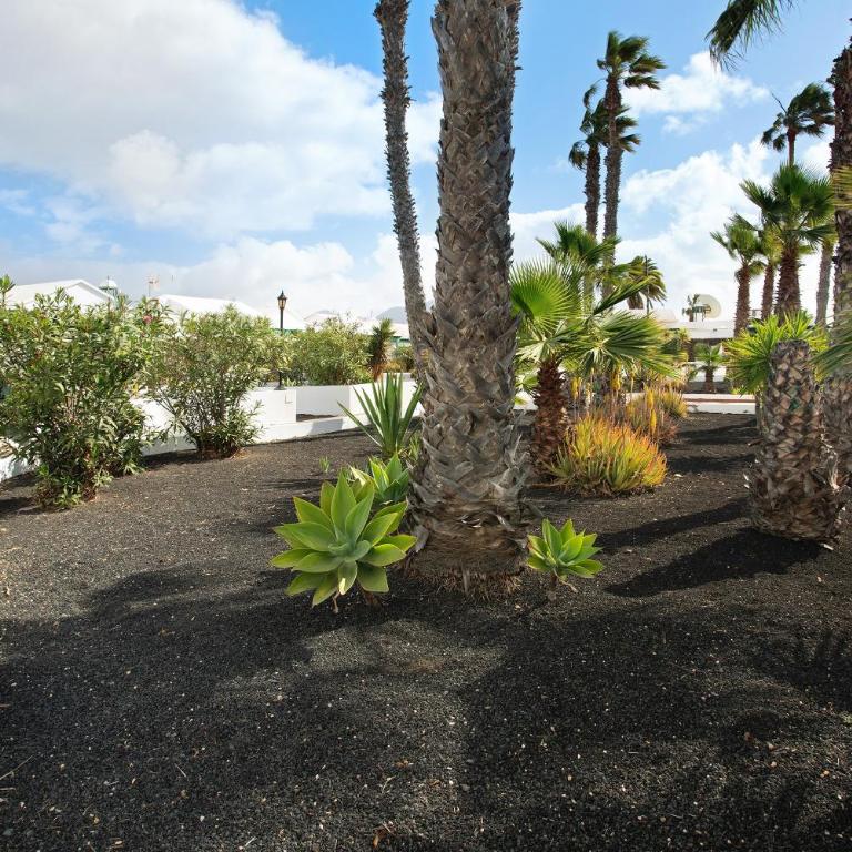 Jardin del Sol 22 - Apartamento de 1 dormitorio con vistas al jardín - 3