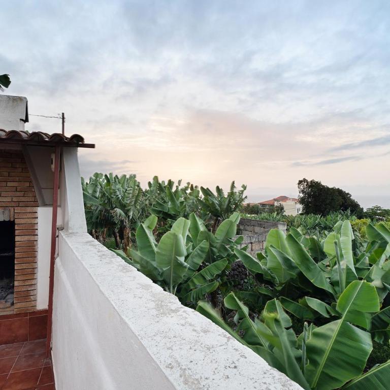 Casa Barreto - Chalet - 28