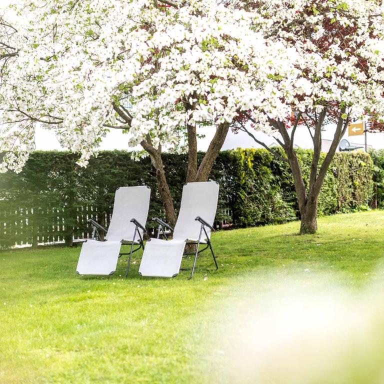 Taufner Apartement C 106 - Appartamento Superior con 1 Camera da Letto e Balcone - 24