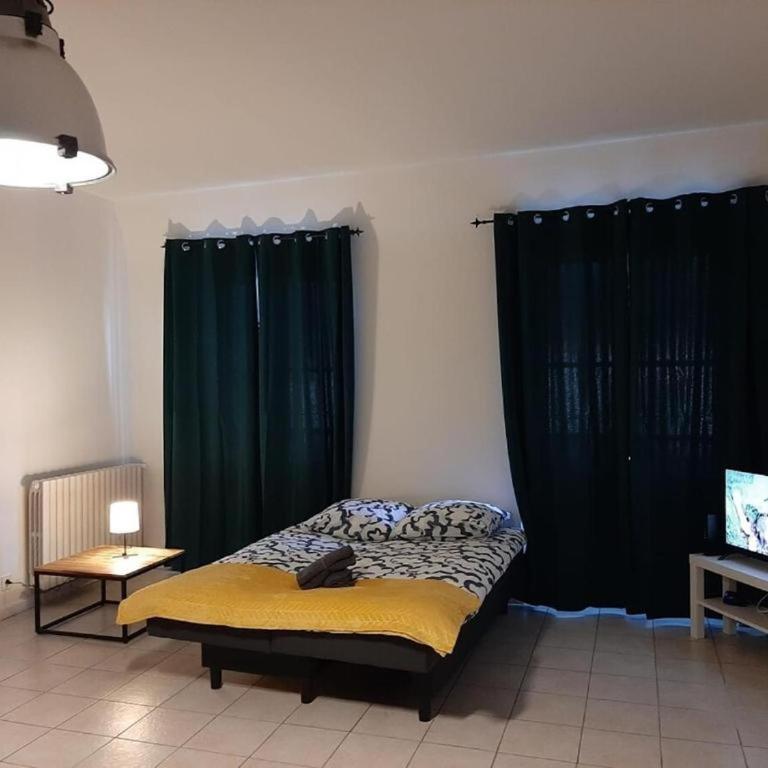 Le beau 25 République - Appartement 2 Chambres - 12