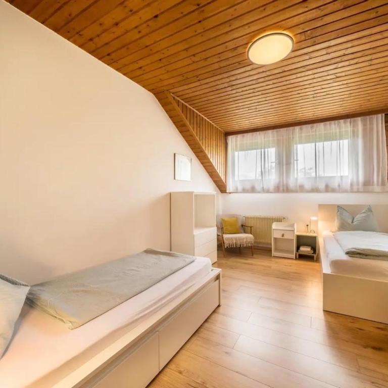 Villa Pinie Apt 1 - Appartamento Superior con Balcone - 13
