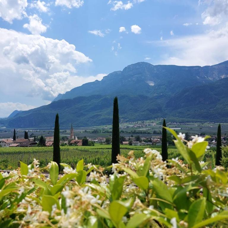 Villa Pinie Apt 1 - Appartamento Superior con Balcone - 42