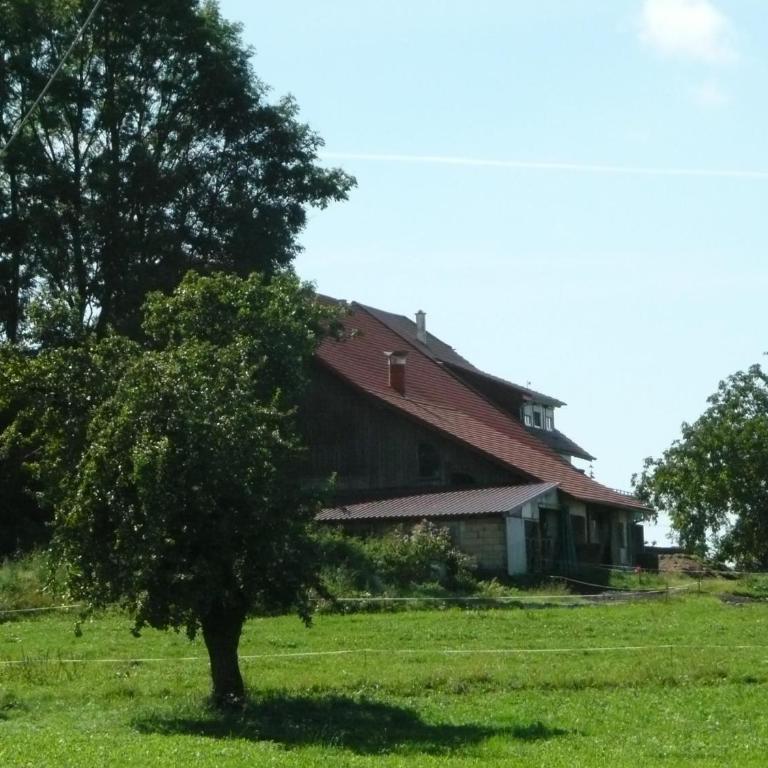 Ferienwohnung Sonnenaufgang - Apartment mit 3 Schlafzimmern und Bergblick - 12