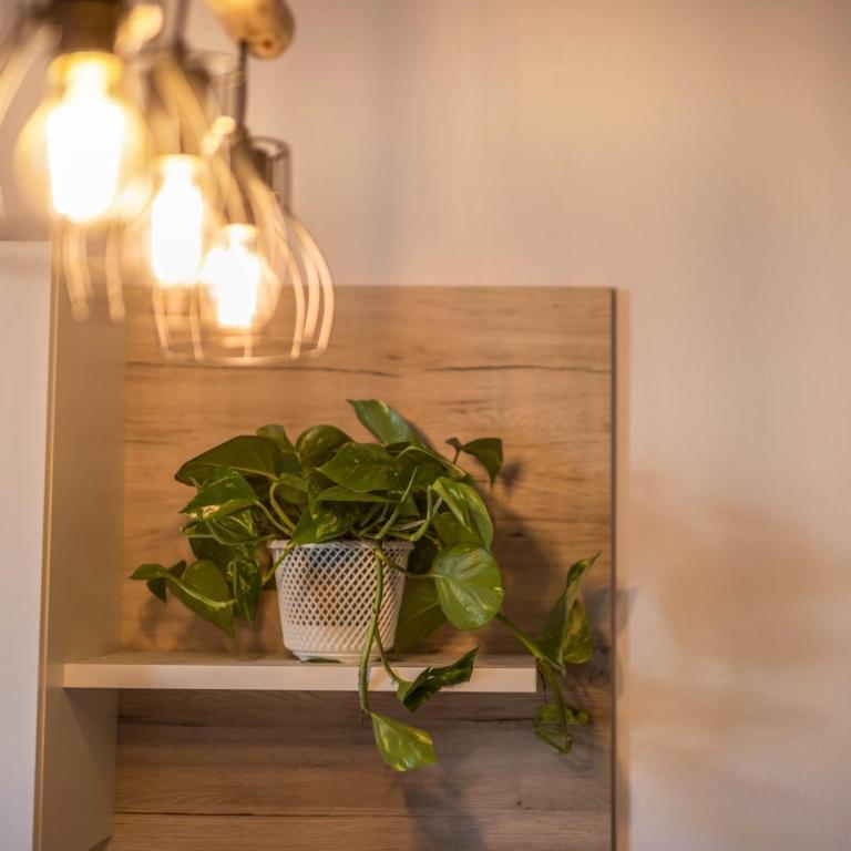 Apartment Eva - Appartamento con doccia - 4