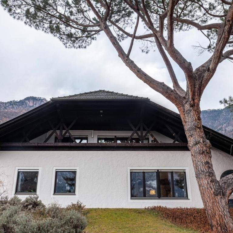Villa Pinie Apt 1 - Appartamento Superior con Balcone - 34