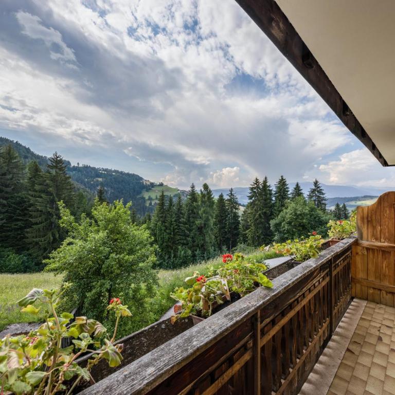 Grödnerhof Peter - Superior Apartment mit 1 Schlafzimmer und Balkon - 18
