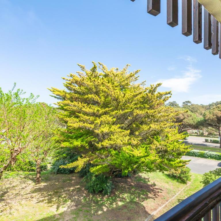 Little Pignada - Proche Plage - Apartamento - 14