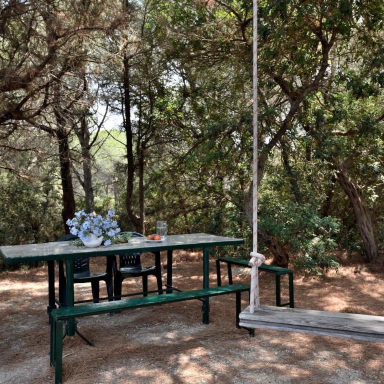 Appartamento Pini - Appartamento con Terrazza - 24
