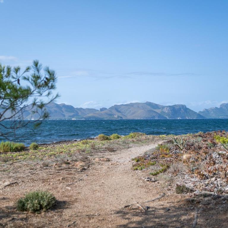 Punta Marina - Villa con vistas al mar - 33
