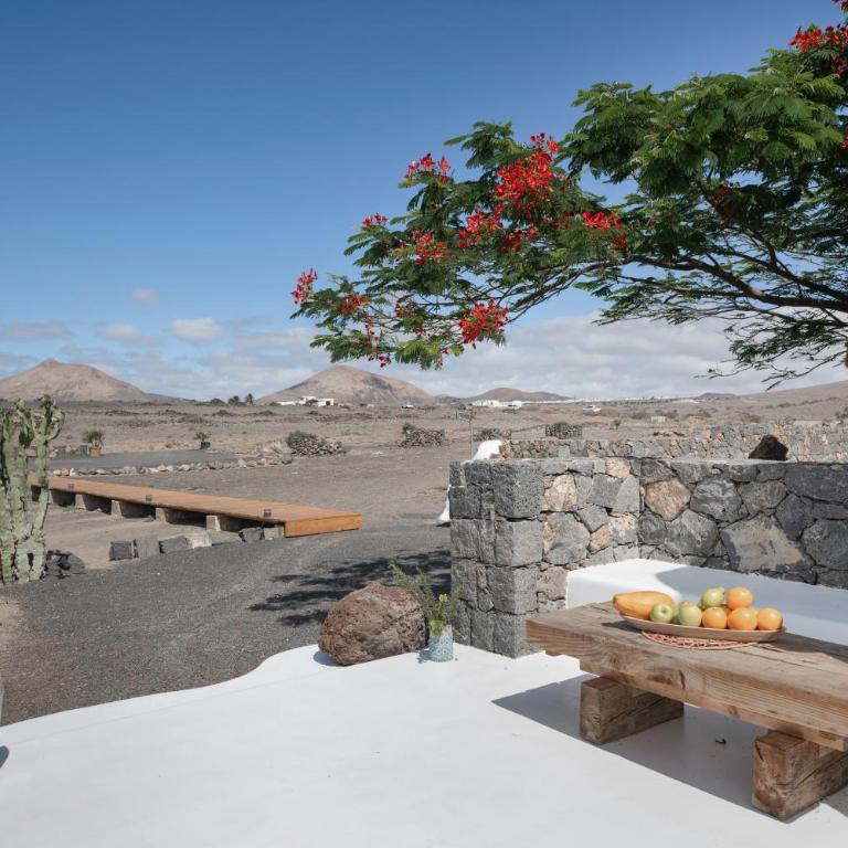 Apartamento Pitaya - Estudio con terraza - 20