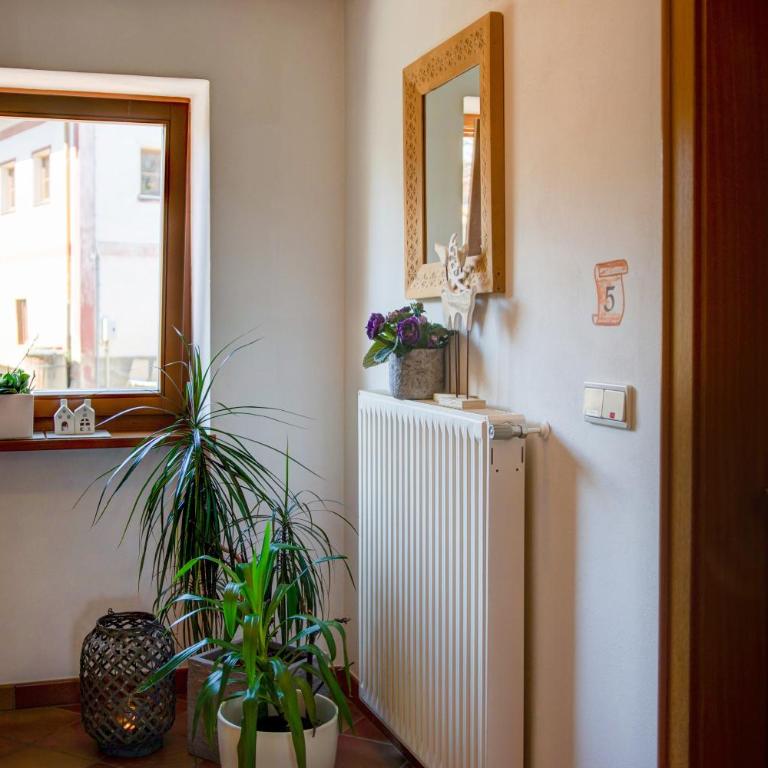 Apartment 5 - Zur Sonne - Appartamento con 1 Camera da Letto e con Giardino - 13