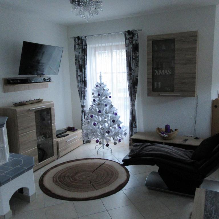 Alpen-Chalet Ehrwald - Appartamento - 34
