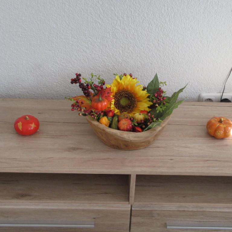 Alpen-Chalet Ehrwald - Appartamento - 57