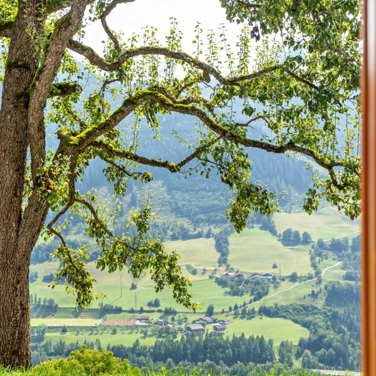 Biobergbauernhof Bergzeit Apartment - Apartment mit 1 Schlafzimmer und Gartenblick - 5