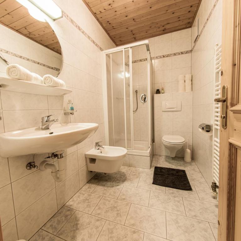 Mösslhof App Wiese - Studio mit Schlafsofa - 5