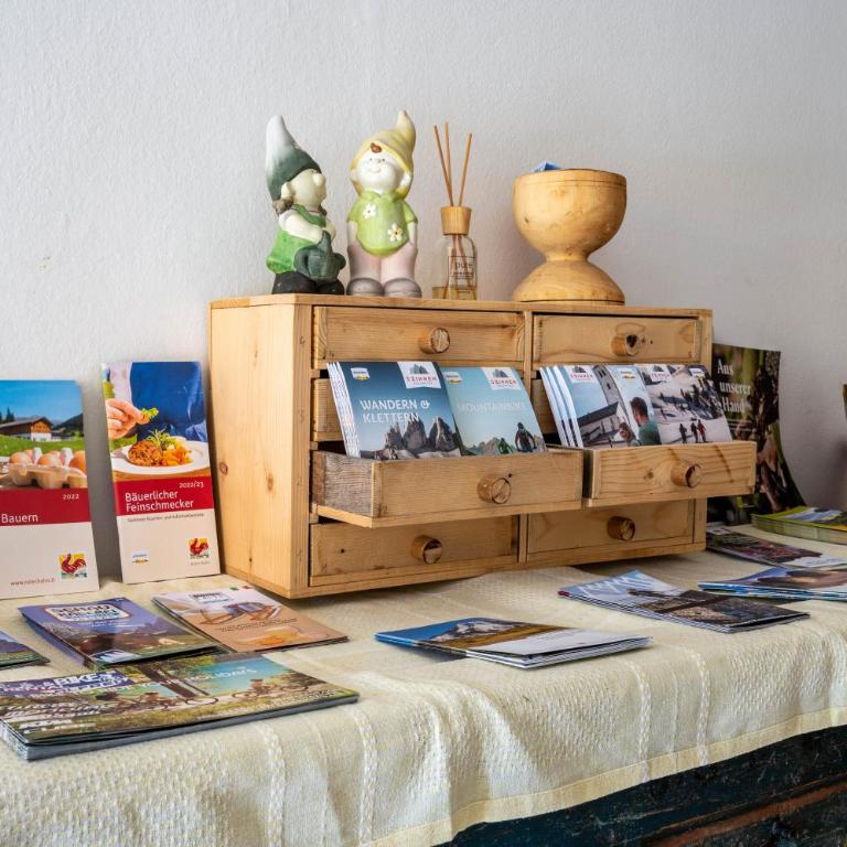 Mösslhof App Wiese - Studio mit Schlafsofa - 10