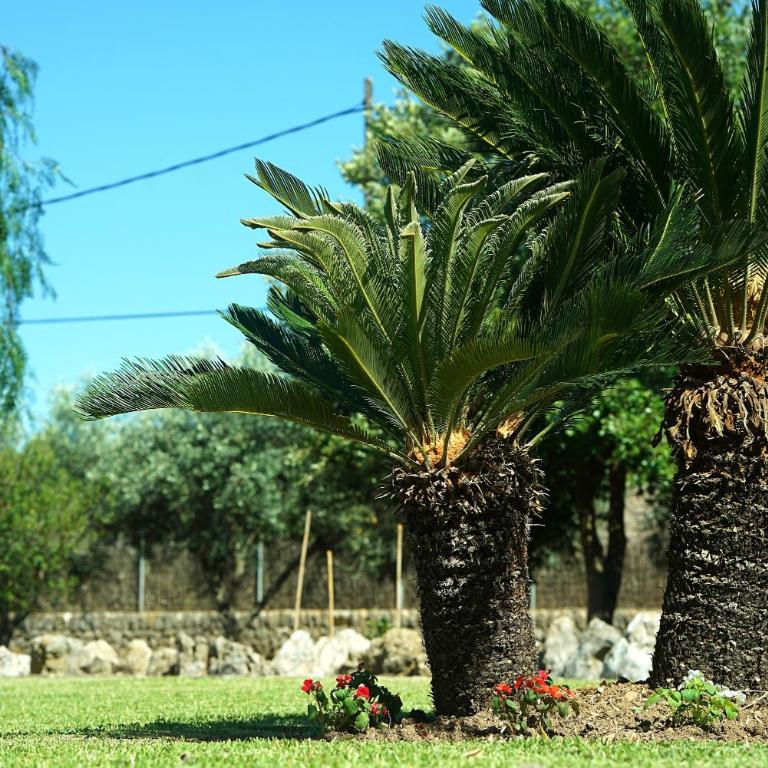Can Seguinot - Villa - 31