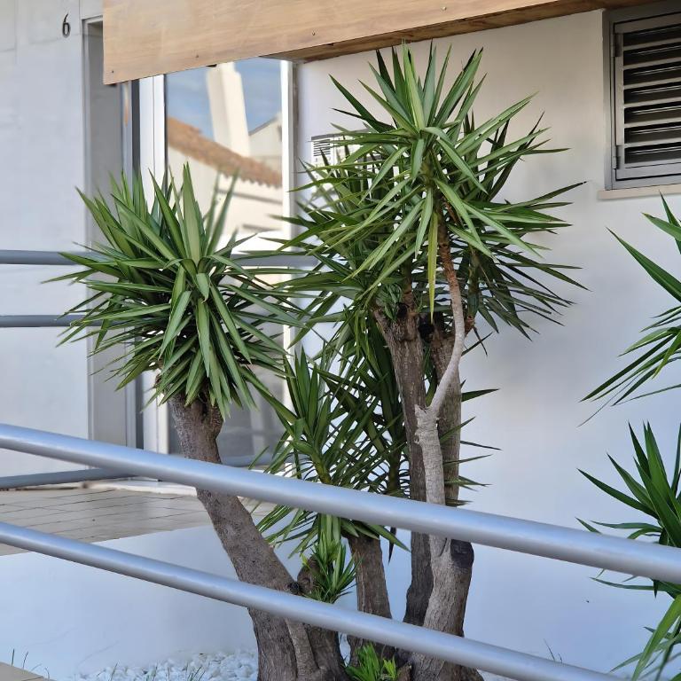 Irina playa 6 - Apartamento Deluxe de 2 dormitorios con vistas al mar - 14
