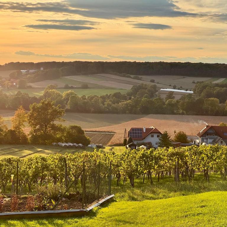 Ferienhaus "Kleine Auszeit" - Ferienhaus mit 4 Zimmern - 2