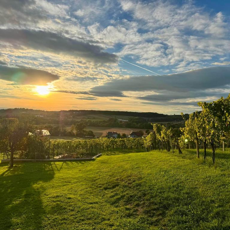 Ferienhaus "Kleine Auszeit" - Ferienhaus mit 4 Zimmern - 9