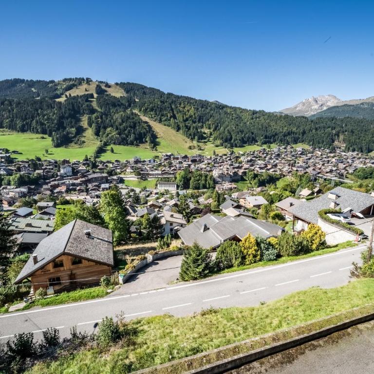 Chalet Arnica - Superior One-Bedroom Apartment with Balcony - 7