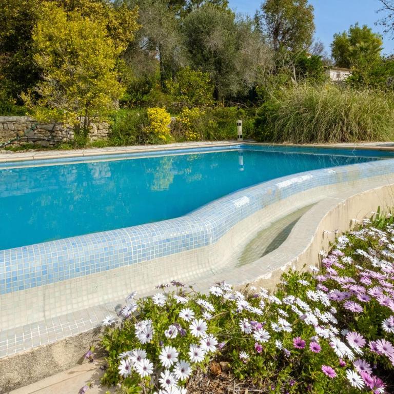 Appartement Numéro 1 - piscine - Villa - Vue sur Jardin - 2