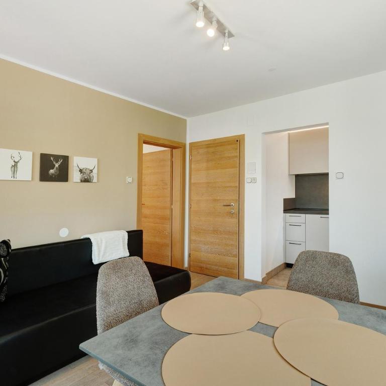 Premium App Hofer Barbara - Superior Apartment mit 1 Schlafzimmer und Balkon - 11