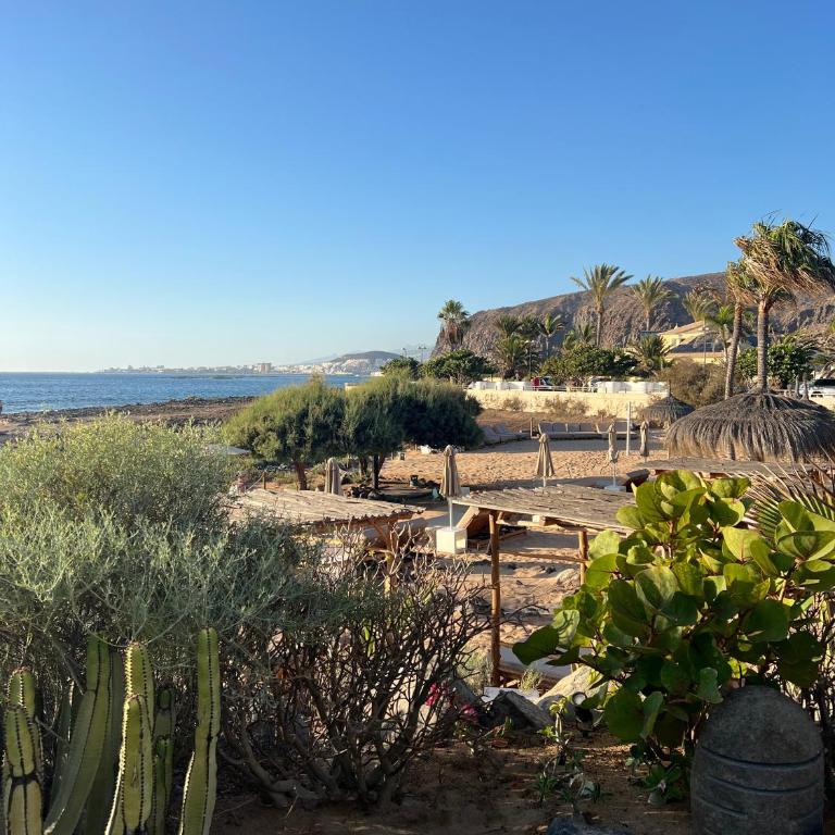 Casa Soleil Palm-Mar - Apartamento Superior de 1 dormitorio con balcón - 43