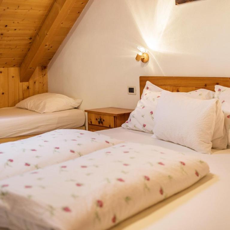 Bolser App Plan de Corones - Appartamento Superior con 1 Camera da Letto e Balcone - 13