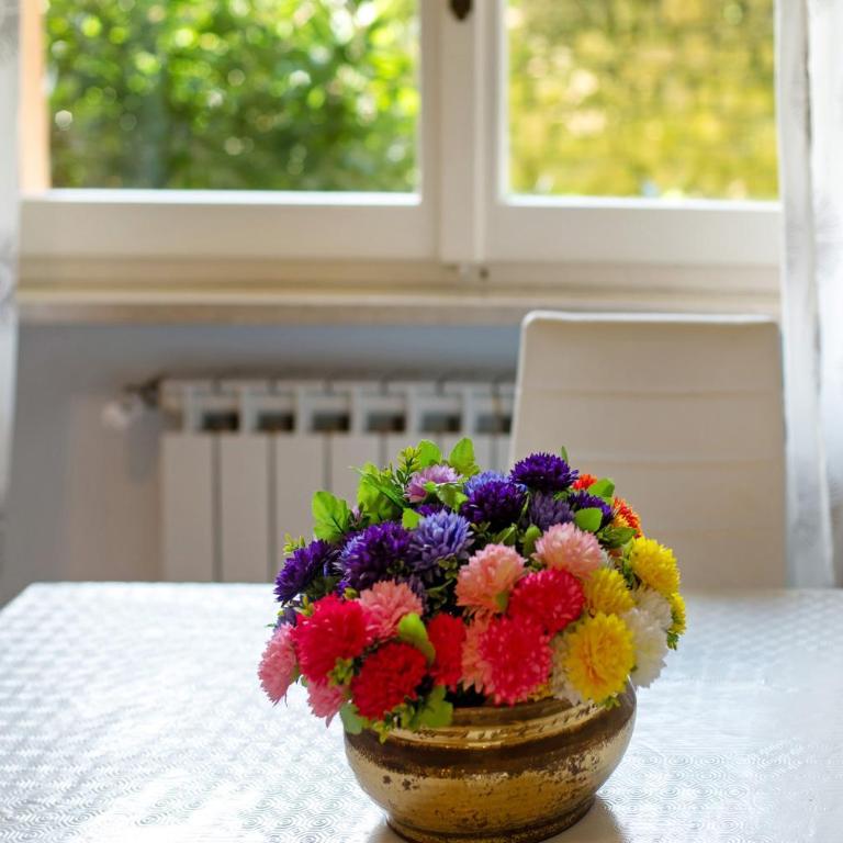 House Il Glicine - Pet Friendly - Appartamento con 1 Camera da Letto e Vista Giardino - 13
