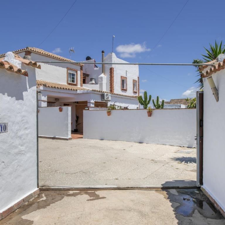 Apartamento Mayo 1 - Apartamento con terraza - 28