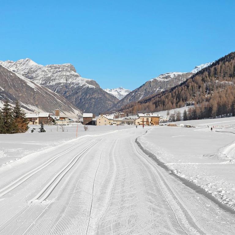 Appartamento Piz Saliente - Two-Bedroom Deluxe Apartment with Garden View - 24