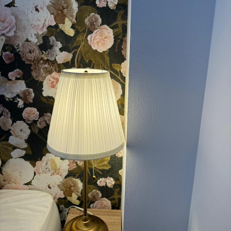 Cocon urbain avec jardin - appartement proche hôpital - Apartment mit 1 Schlafzimmer - 9