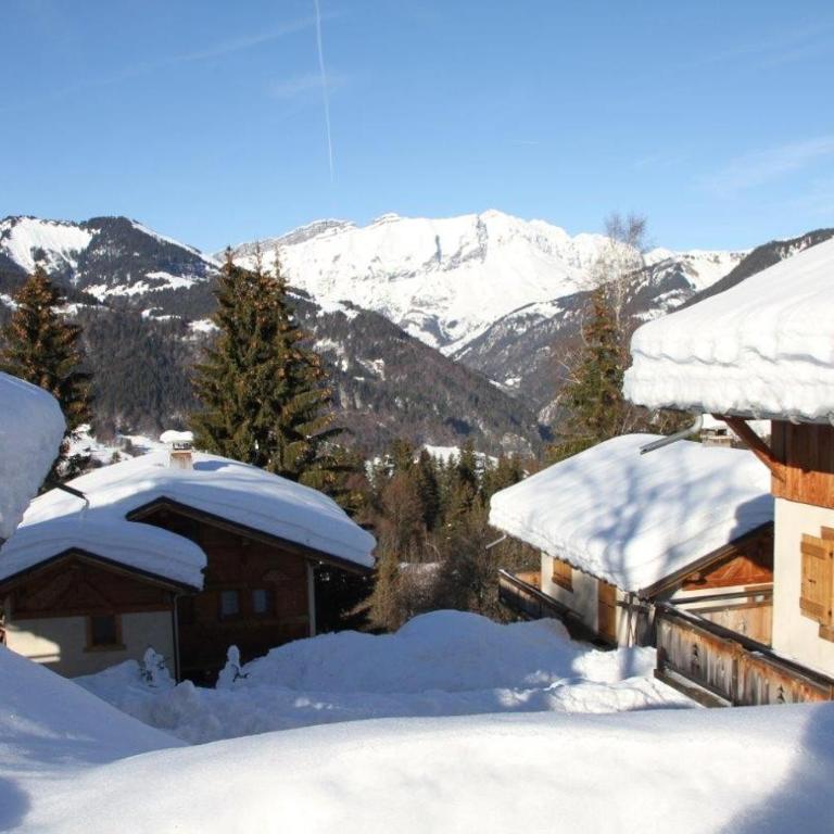Le Paccaly, Piscine et Aire de jeux - Chalet - 37