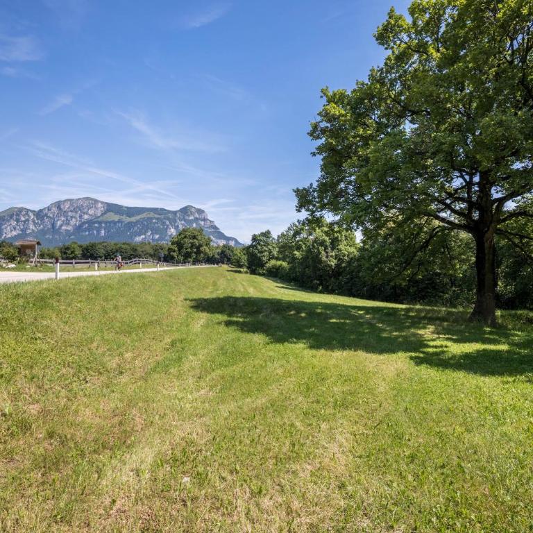 Agriturismo Malga Riondera - Appartamento Superior con 1 Camera da Letto e Balcone - 17
