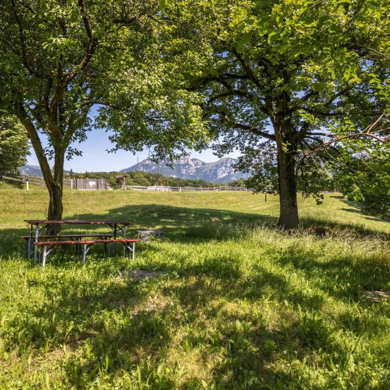 Agriturismo Malga Riondera - Appartamento Superior con 1 Camera da Letto e Balcone - 16